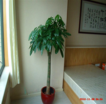 -033_副本