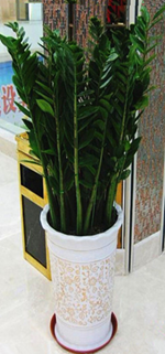 金錢(qián)_副本_副本